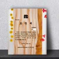 Z-011(크리스탈레진상패)