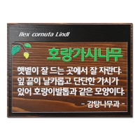 C-024(수목표찰)